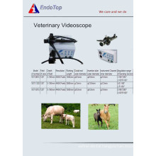 Veterinary Videoscope